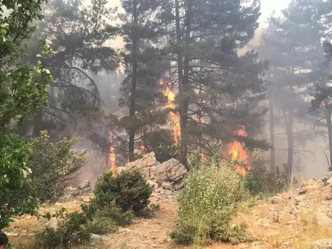 4 ilde orman yangınlarına müdahale