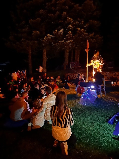 Perseid sokak hayvanları için mama topladı