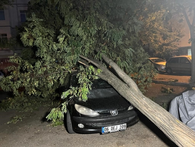 Ankara’da ağaçlar araçların üzerine devrildi