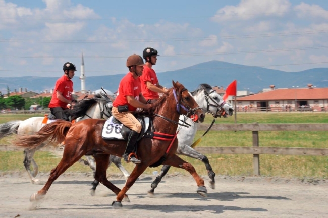 Rahvan At Yarışları heyecanı Gölcük'te başlıyor