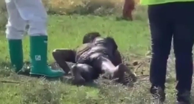 Şanlıurfa'da Suriyeli kuduz hastası hastaneden kaçtı!