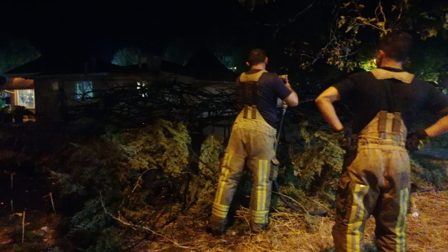 Silivri'de çam ağacı yangını paniğe neden oldu