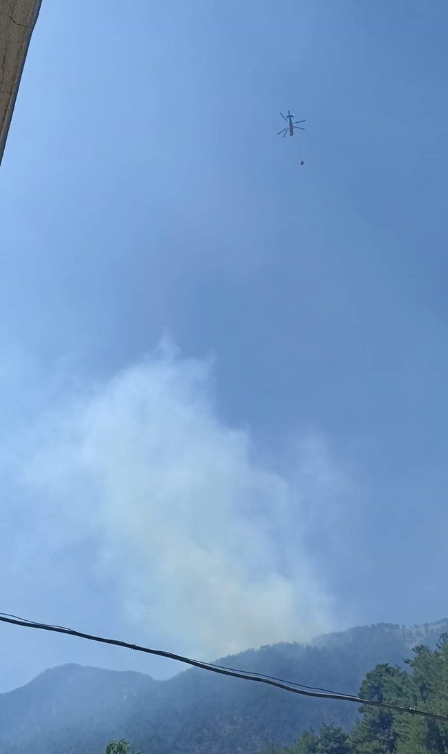 Gaziantep’te 4 hektar orman küle döndü