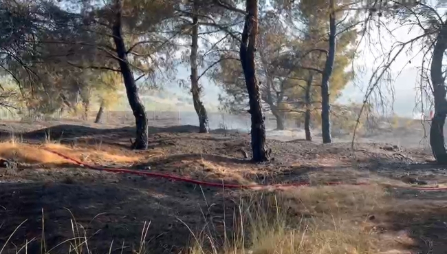 Otomobilde çıkan yangın ormana sıçradı