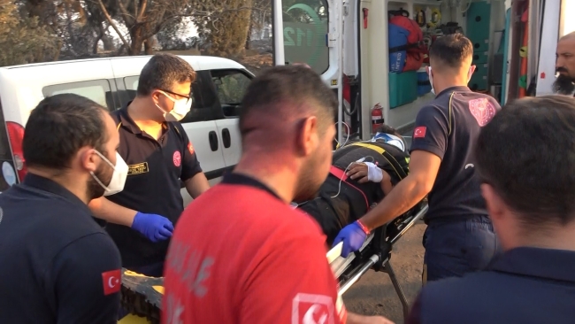 Orman yangına müdahale ederken ağacın altında kaldı
