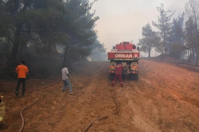 Yenişehir'deki orman yangını kontrol altında