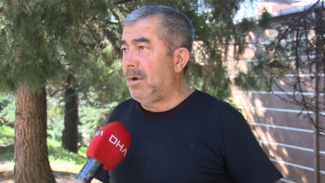 Bursa'da toplu balık ölümlerinin nedeni tespit edildi