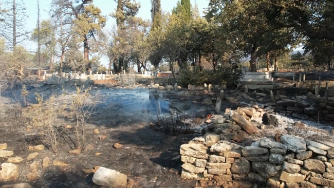 Çanakkale'deki yangının ardından yürekleri burkan görüntü