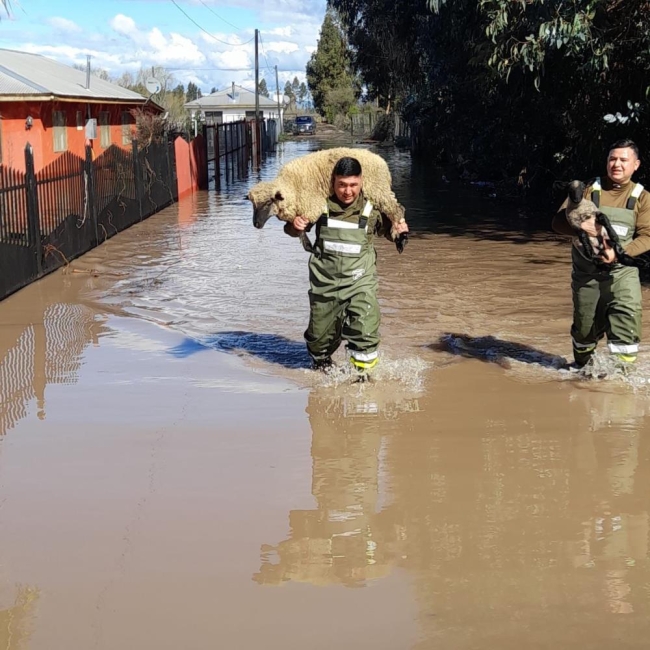 Şili’de felaket! Binlerce kişi tahliye edildi