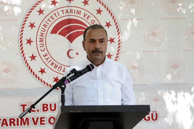 Bursa'nın siyah inciri dünyaya açılıyor