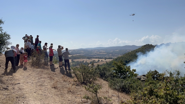 Çanakkale'de orman yangını