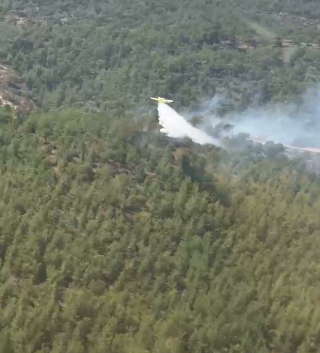 Muğla'da 1 hektar orman küle döndü