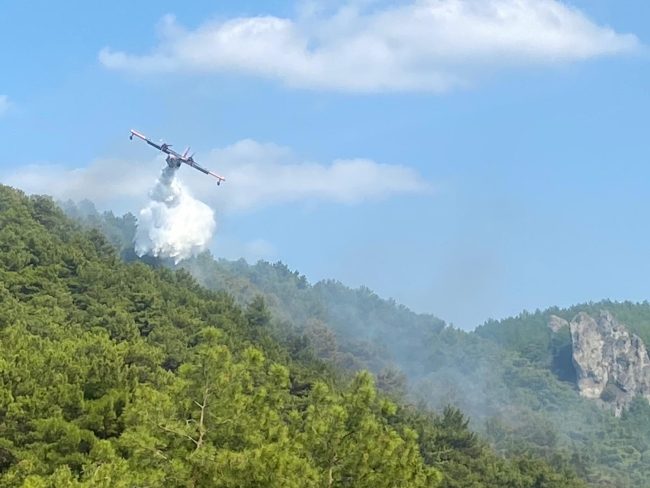 Çanakkale'de yangın kontrol altına alındı