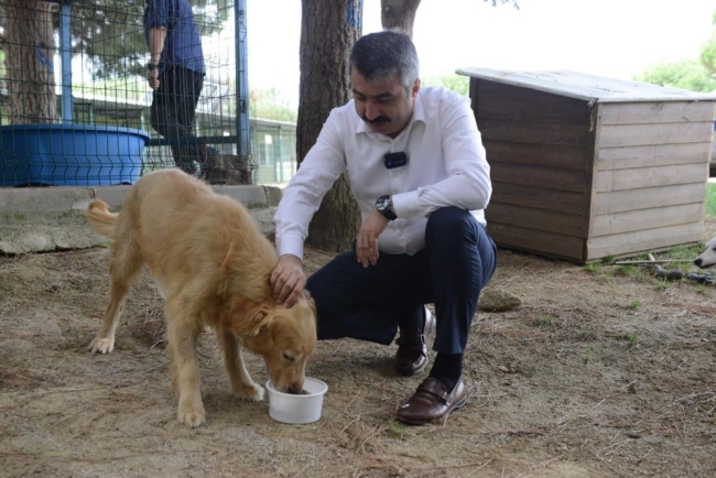 Yıldırım'da atık gıdalar mamaya dönüşüyor