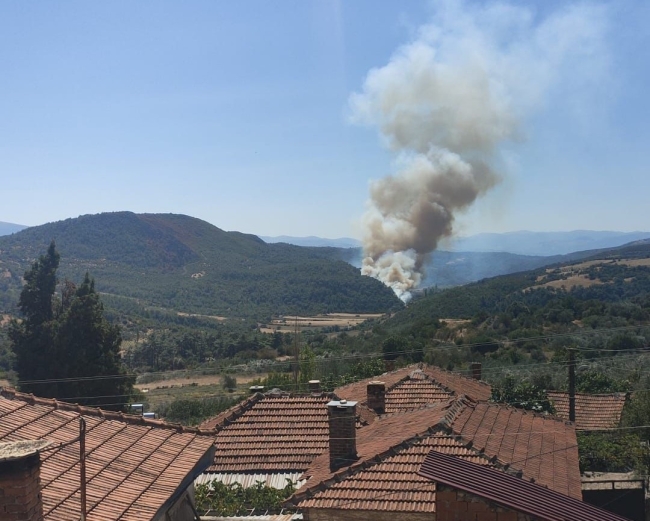Soma'daki orman yangınına müdahale devam ediyor