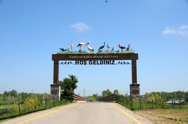 Kuş Cenneti'ne ziyaretçi akını!