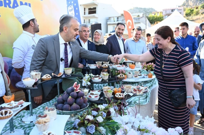 Bursa’nın 'Siyah incisi’nde hasat vakti