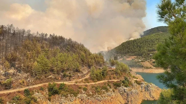 Antalya'da orman yangını