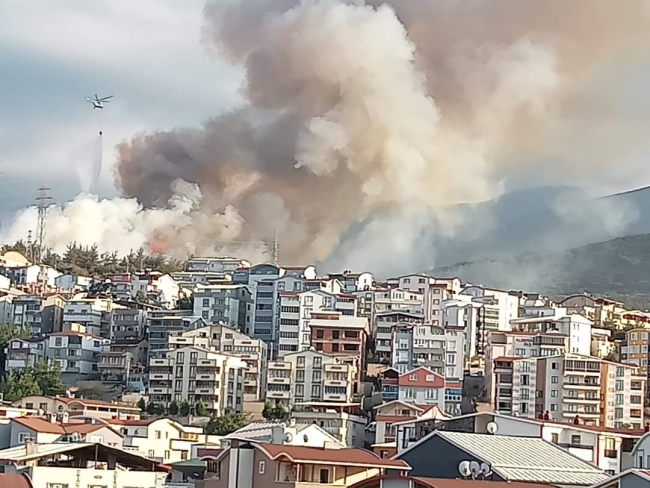 Bursa'da korkutan orman yangını!