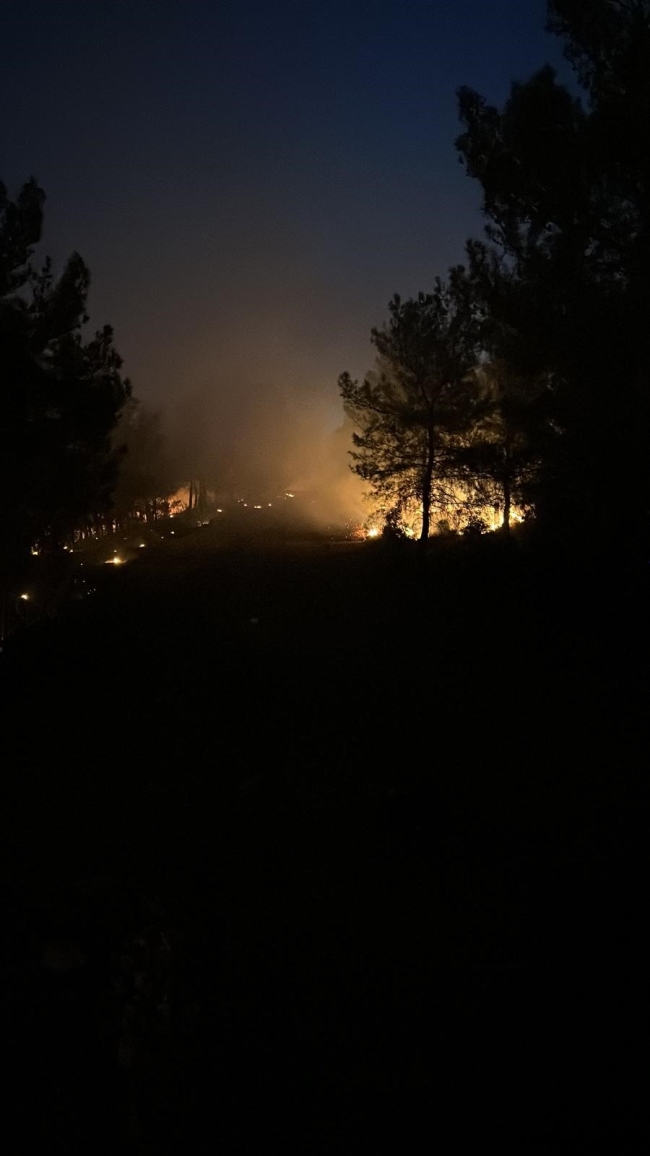 İzmir'de yangın ile mücadele sürüyor