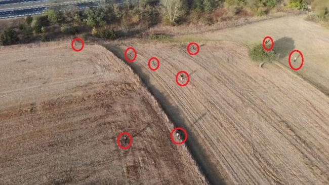 Tarlada göçmen kovalamacası: 122 göçmen yakalandı