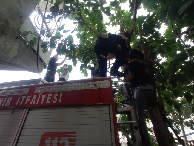 Can kurtmak isterken kendi de mahsur kaldı!