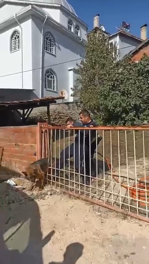 Bursa'da demir kapıya sıkışan köpeği itfaiye kurtardı