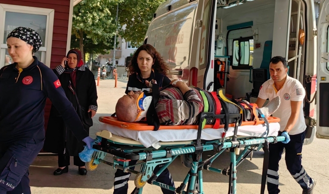 Bursa'da ağaçtan düşen yaşlı adam ölümden döndü