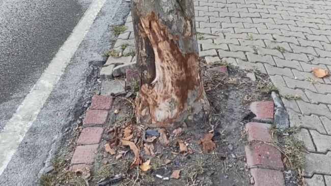 Ceza hakiminin yaralandığı kazada 10 dakikalık sır perdesi!