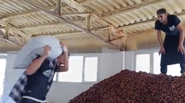 İnfial yaratan görüntülere şok ceza!