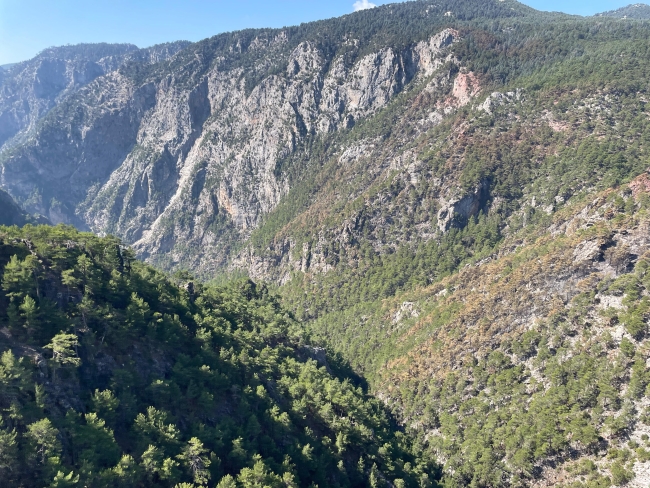 Karanlıkdere Kanyonu'nda yangın!