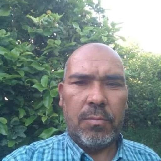 Arıların saldırdığı adam hayatını kaybetti