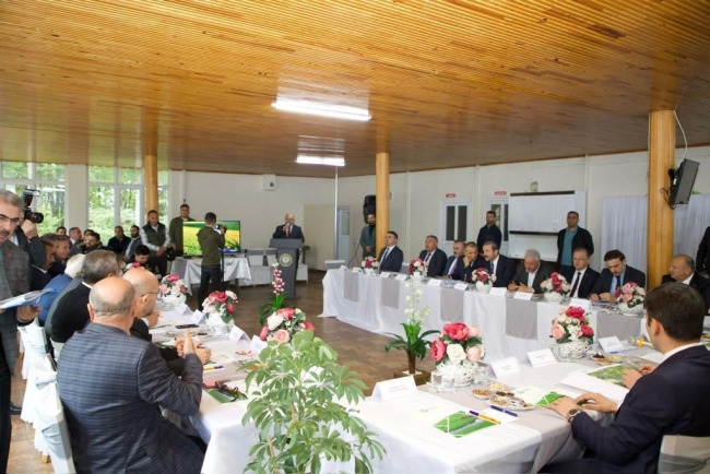 Ordu-Tokat ittifakı