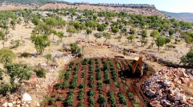 603 kilo uyuşturucu ele geçirildi