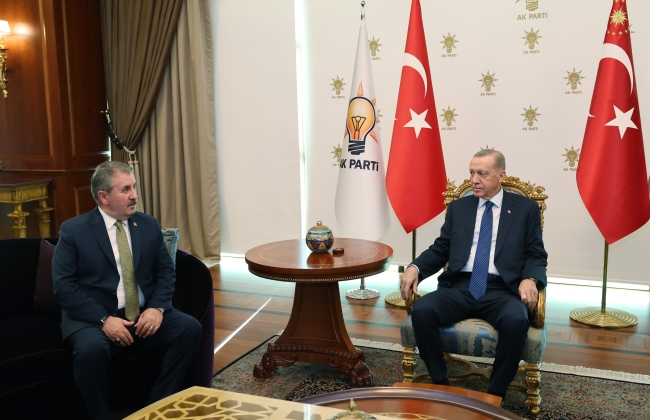 Cumhurbaşkanı Erdoğan, Destici ile görüştü