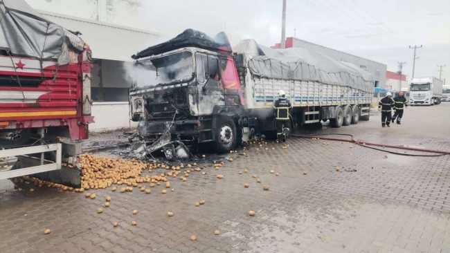 Patates yüklü TIR alevlere teslim oldu