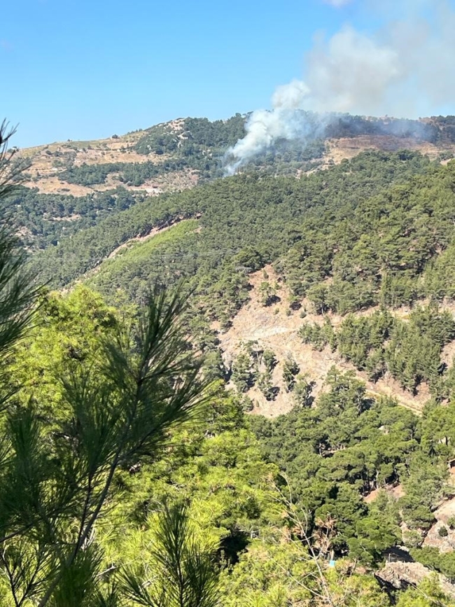 İzmir'deki orman yangını kontrol altında