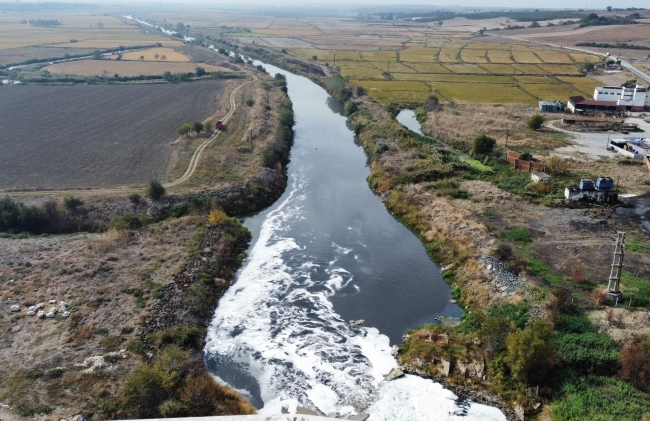 Ergene Nehri'nde kirlilik alarmı!
