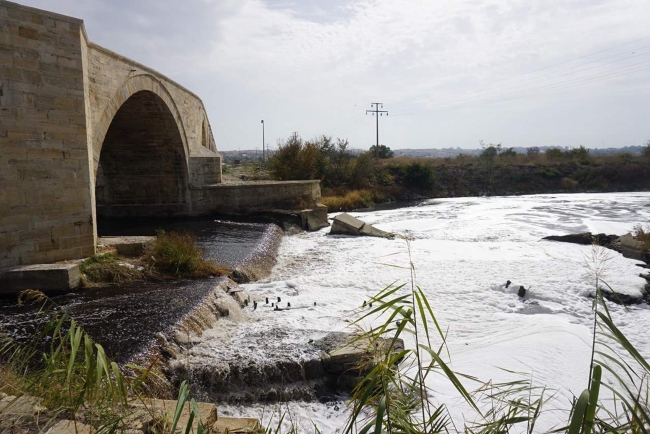 Ergene Nehri'nde kirlilik alarmı!