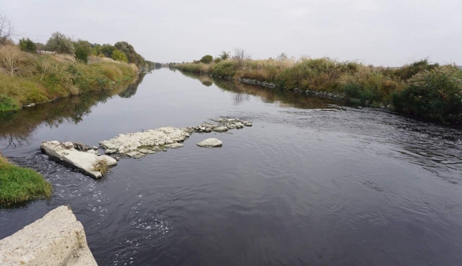 Ergene Nehri'nde kirlilik alarmı!