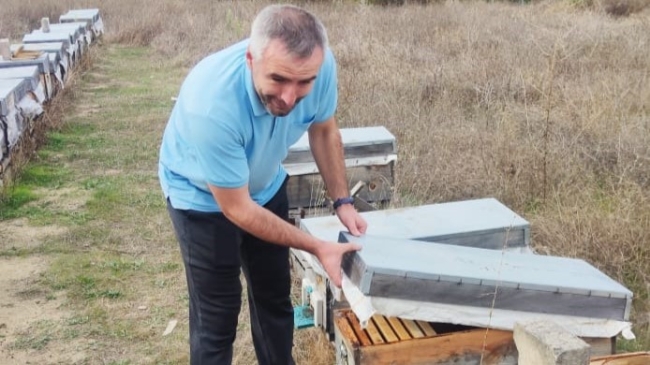 Orhaneli'de arılı kovan sayısı arttı