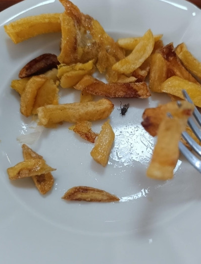 Yurt yemeklerinde böcek ve yabancı cisimler çıktı