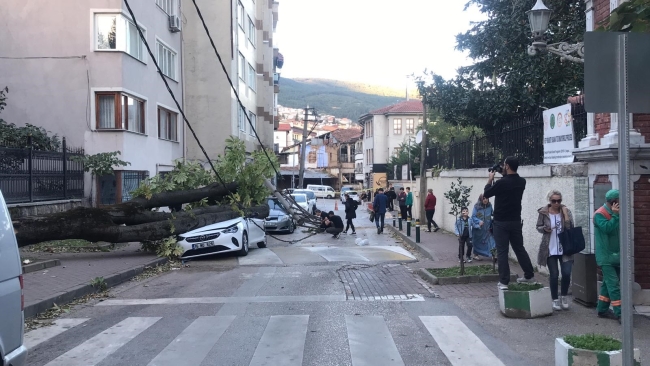 Bursa'da lodos hayatı felç etti