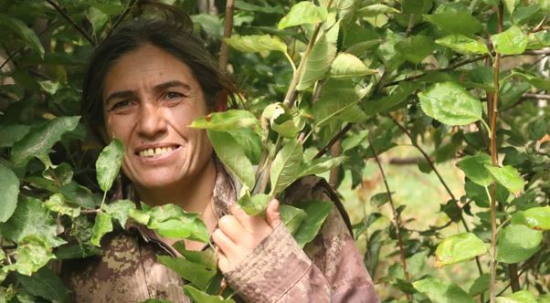 MİT'ten nokta operasyon! Ayşe Arslan etkisiz hale getirildi