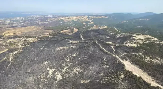 Çanakkale'deki orman yangınları ile ilgili korkunç bilanço