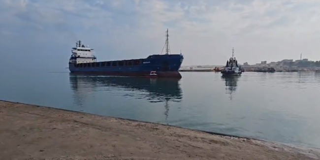 Bakan Koca Gazze'ye sağlık malzemesi taşıyan gemi Mısır El-Ariş Limanı'na ulaştı
