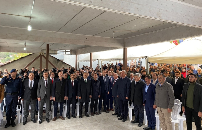 Coğrafi işaretli Gemlik zeytininde hasat zamanı! 