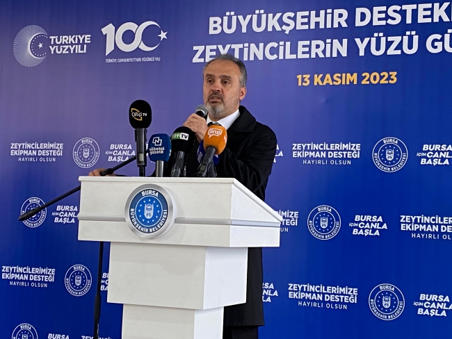 Coğrafi işaretli Gemlik zeytininde hasat zamanı! 