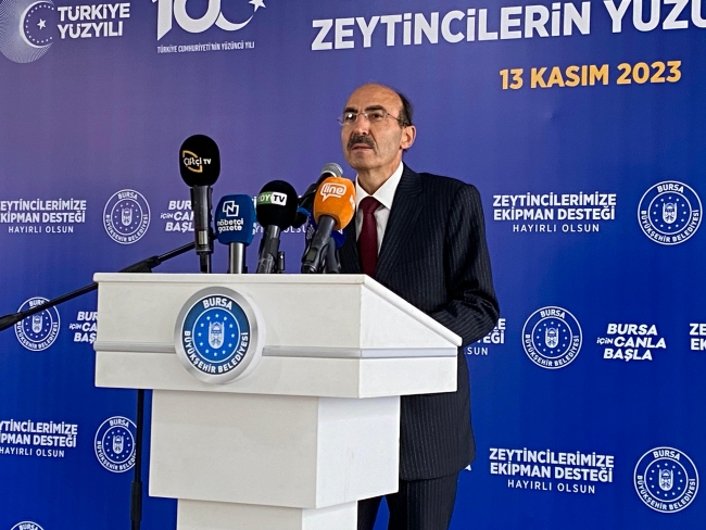 Coğrafi işaretli Gemlik zeytininde hasat zamanı! 