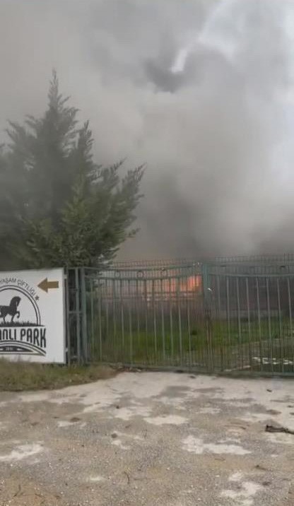 Bursa'da doğal yaşam çiftliğinde yangın paniği!